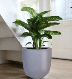 Bloempot Ducos Big Grey Ø33xH35 – UV & Vorstbestendig