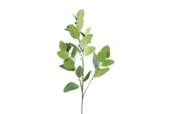 Kunst Blad Eucalyptus | L5B20H93CM | Chique-Living