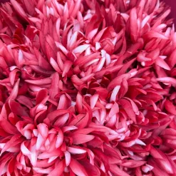 Kunstbloemen Chrysant Warm Pink 75cm – Zijdebloem voor Vaas of Boeket