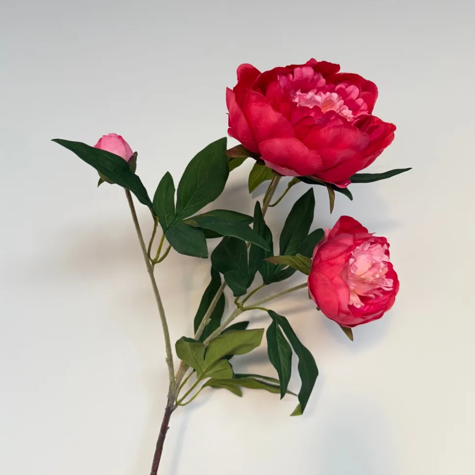 Kunstbloemen Pioenroos Koraal 69cm – Warme, Volle Bloem