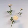 Kunstbloemen Ranonkel Crème 67cm – Tijdloze, Elegante Zijdebloem