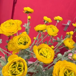 Kunstbloemen Ranonkel Geel 65cm – Tak met 3 Bloemen