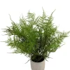 Kunstplant ‘Asparagus’ In Pot | 43cm | Chique-Living