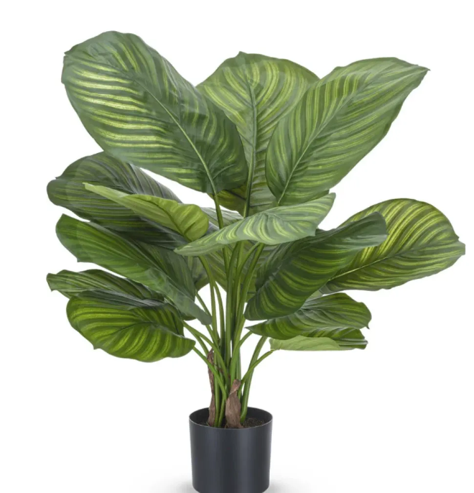 Kunstplant Calathea Fasciata 53cm – Stijlvol & Compact