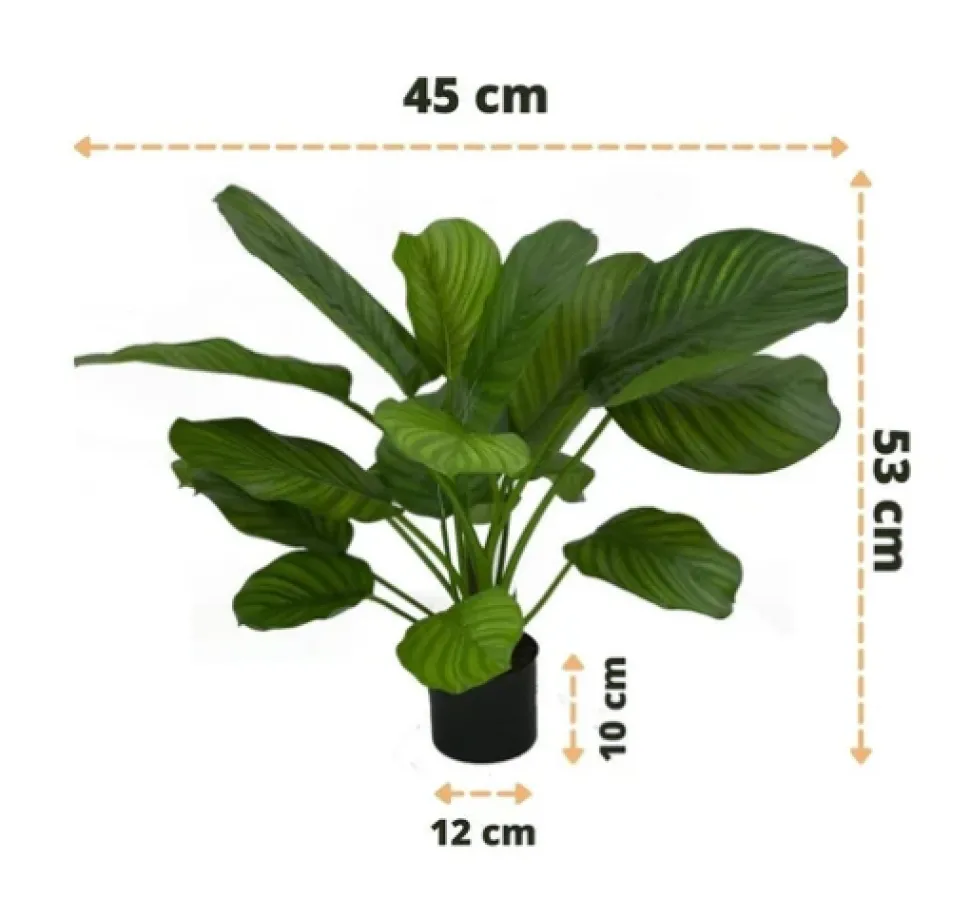 Kunstplant Calathea Fasciata 53cm – Stijlvol & Compact