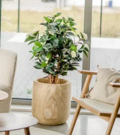 Kunstplant Camellia Japonica 100cm – Elegantie in Bloei
