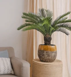 Kunstplant Cycaspalm 80cm – Compact & Tropisch Stijlvol