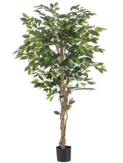 Kunstplant Ficus Groen 180cm – Natuurgetrouw & Stijlvol