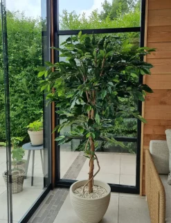 Kunstplant Ficus Groen 180cm – Natuurgetrouw & Stijlvol