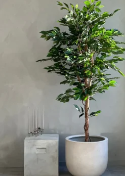 Kunstplant Ficus Groen 180cm – Natuurgetrouw & Stijlvol