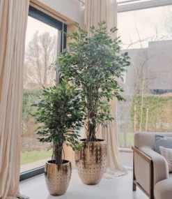 Kunstplant Ficus Tropisch Liana 150cm – Natuurgetrouwe Luxe