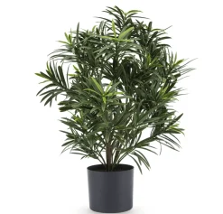 Kunstplant Podocarpus 47cm – Compact & Stijlvol Groen