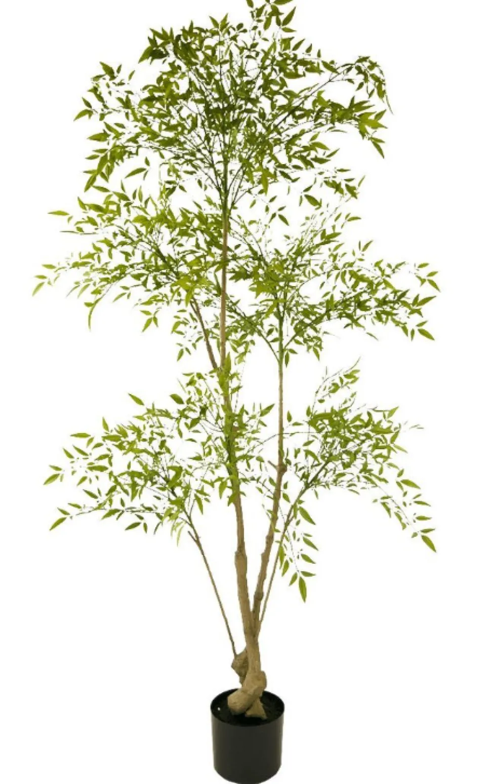Kunstplant Ruscus | 150cm | Chique-Living