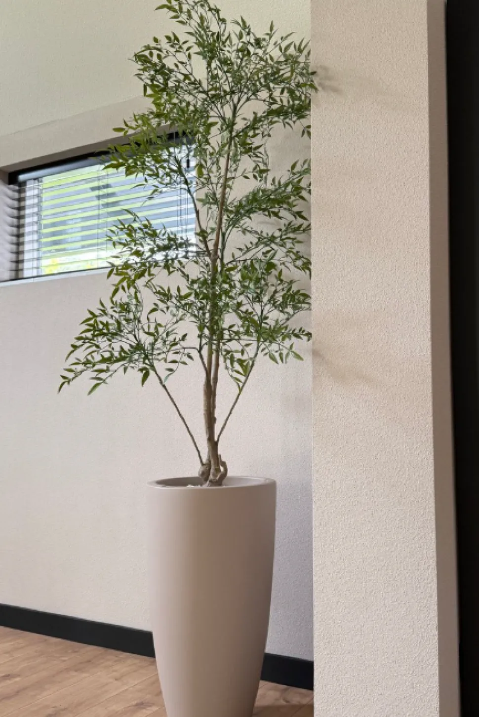 Kunstplant Ruscus | 150cm | Chique-Living