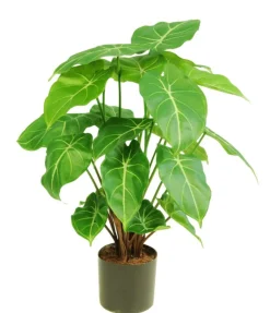 Kunstplant ‘Syngonium’ | 58cm | Chique-Living