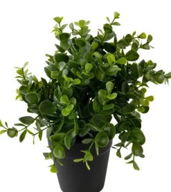 Kunstplantje ‘Pumila’ In Pot | 20cm | Chique-Living
