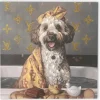 Schilderij ‘Hond in Bad’ kopen | Modern Dierenschilderij Vierkant 60x60cm | Chique Living