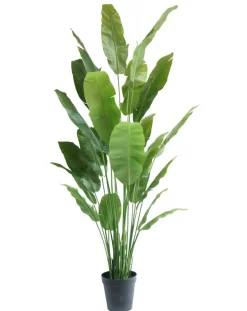 Strelitzia Nicolai Deluxe 235cm – Luxe Kunstplant XXL