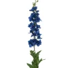 Zijden Bloem 'Delphinium' | Blauw | Real Touch | 90cm | Chique-Living